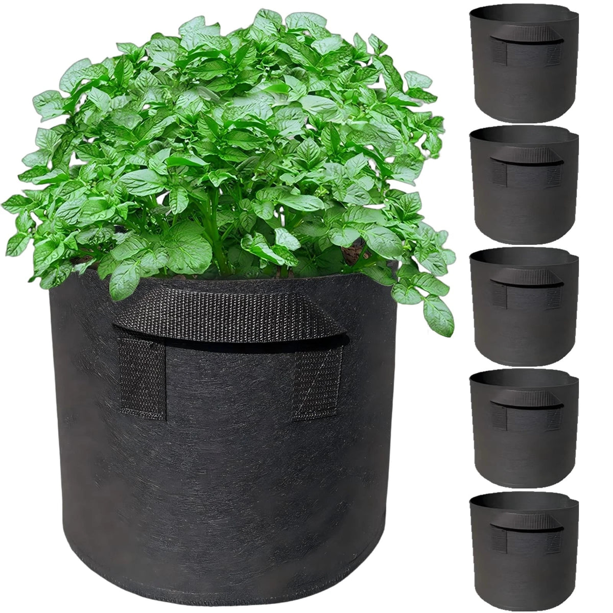 5 Pack 3 Gallon Grow Bags with Handles for Gardening (No Part Numbers)