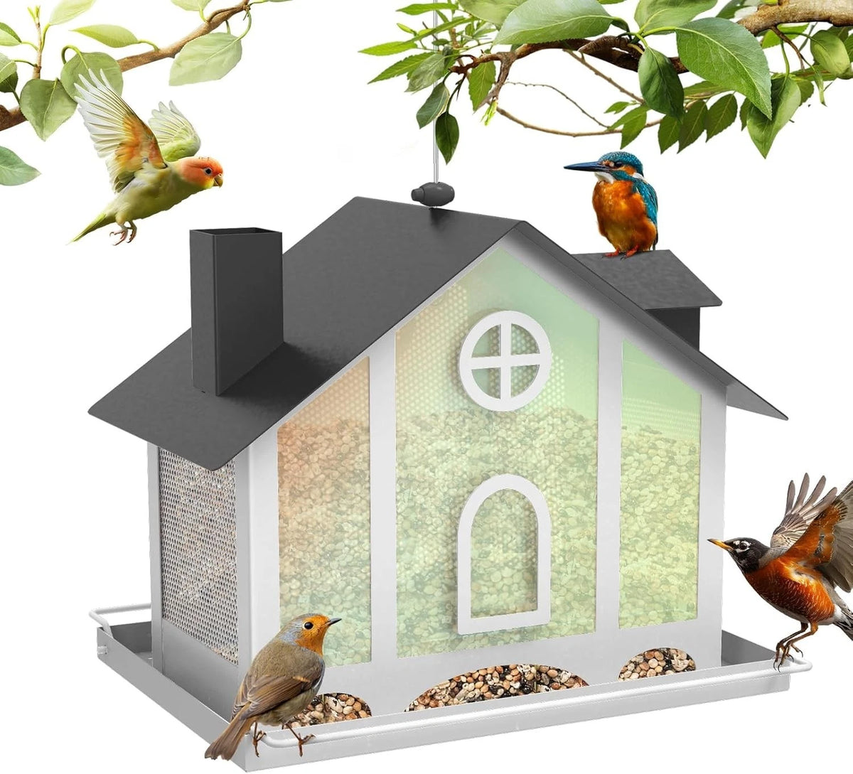 Hanging Bird Feeder for Outdoors - Attracts Wild Birds