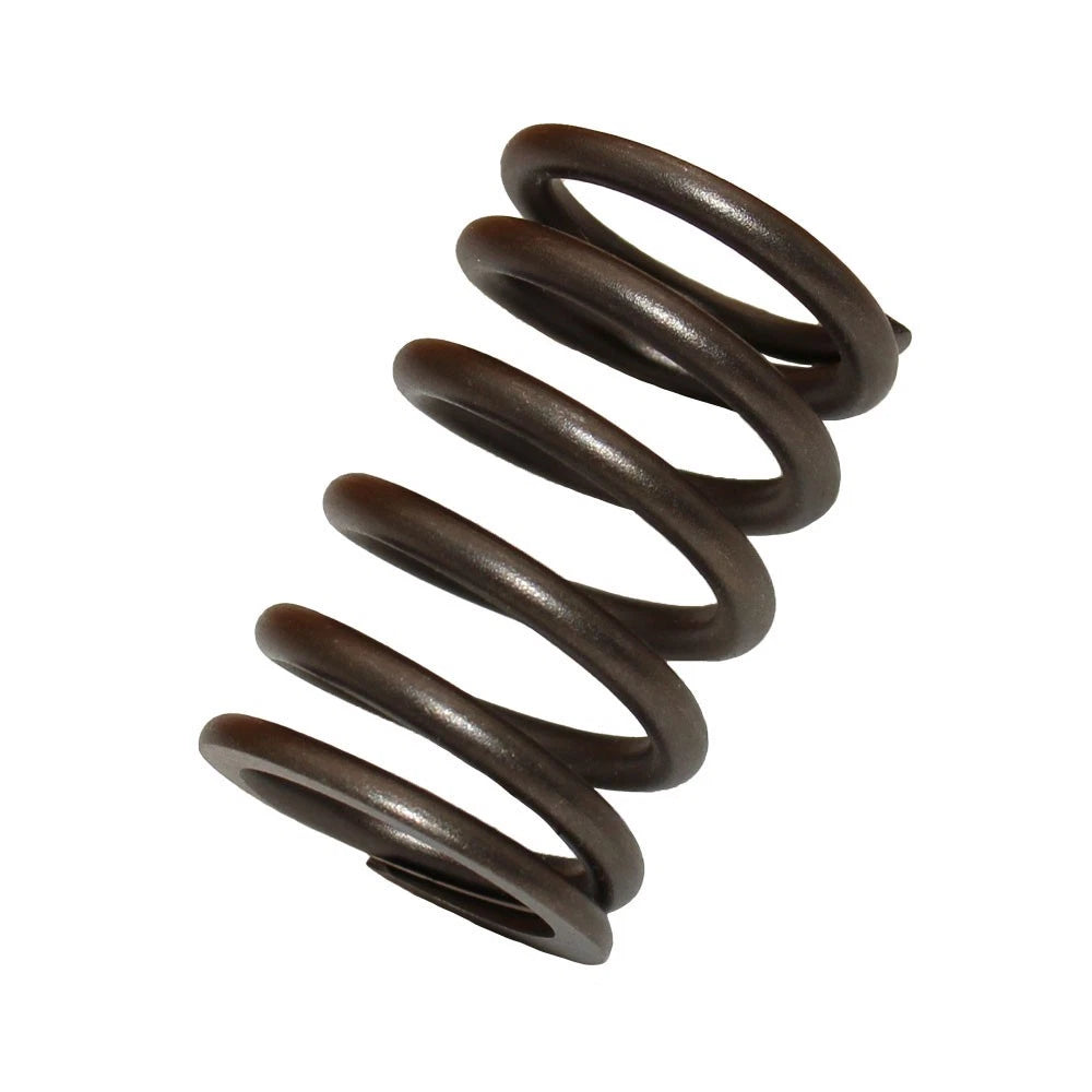 Valve Spring for Ford 2000 2600 3000 3600 4000 4600 5000 5110 5600 5610 5700