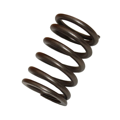 Valve Spring for Ford 2000 2600 3000 3600 4000 4600 5000 5110 5600 5610 5700