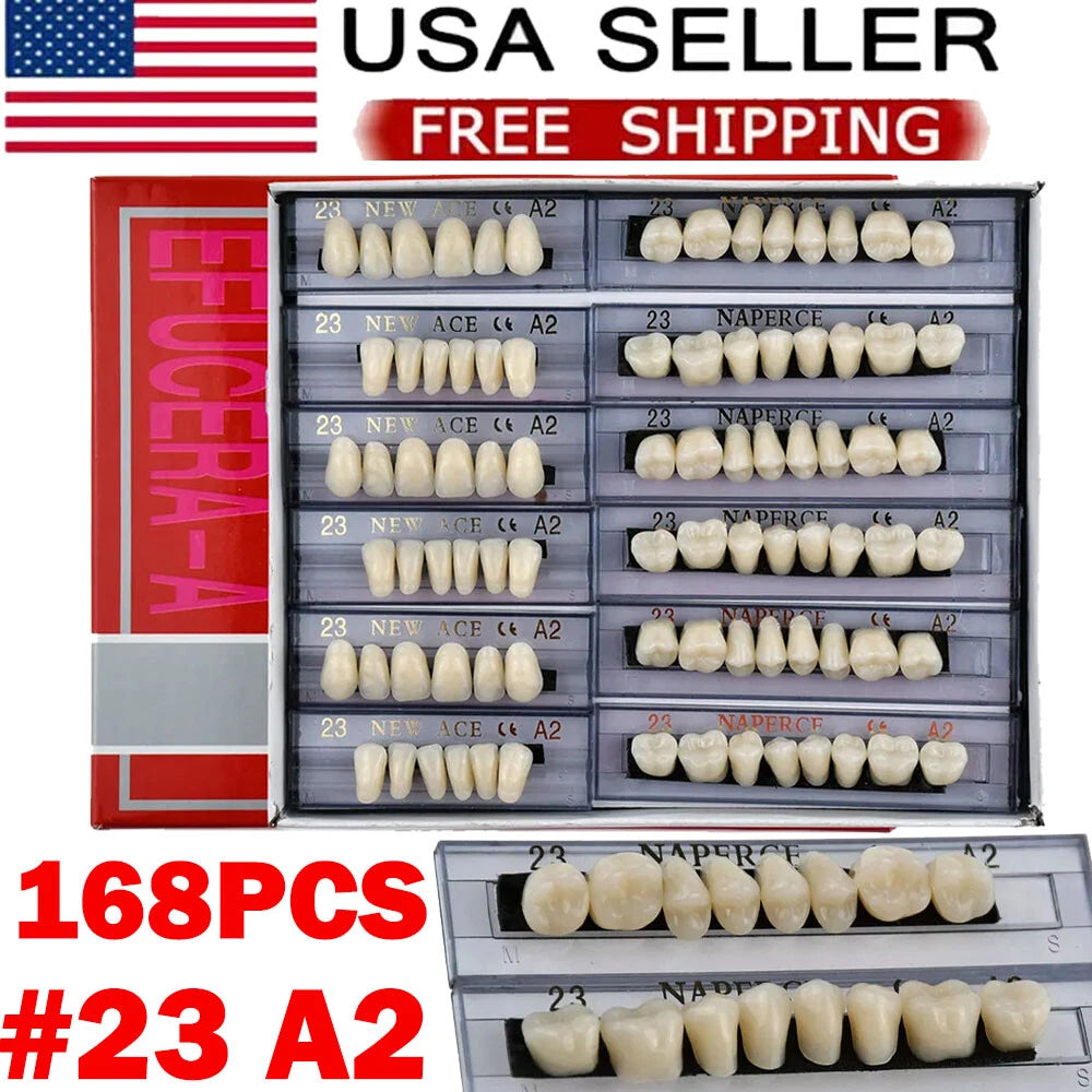 168Pcs Acrylic Resin Denture Teeth Set for Upper Lower Shade A2