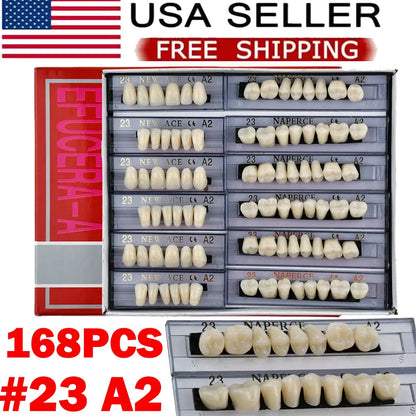 168Pcs Acrylic Resin Denture Teeth Set for Upper Lower Shade A2