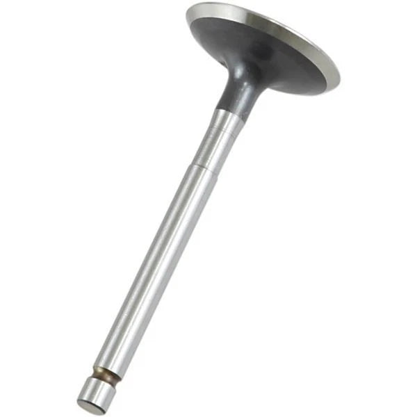 Pro X Steel Intake Valve for (28.2200-2)