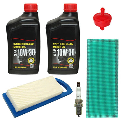 Filter Set with Spark Plugs for Briggs & Stratton