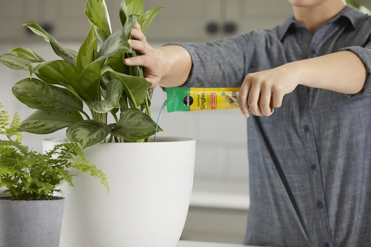 2X Miracle-Gro Pour & Feed Singles for Plants (Ready-To-Use, 2 oz)