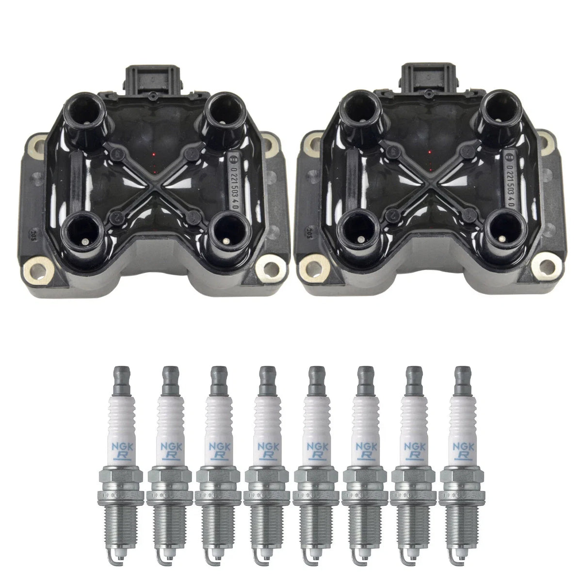 Set of 2 Ignition Coils & 8 Spark Plugs for Range Rover V8 (348)