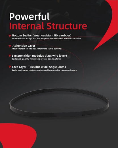 Serpentine Belt Drive Kit for Fordnova (2007–2012) 3.5L 3.7L