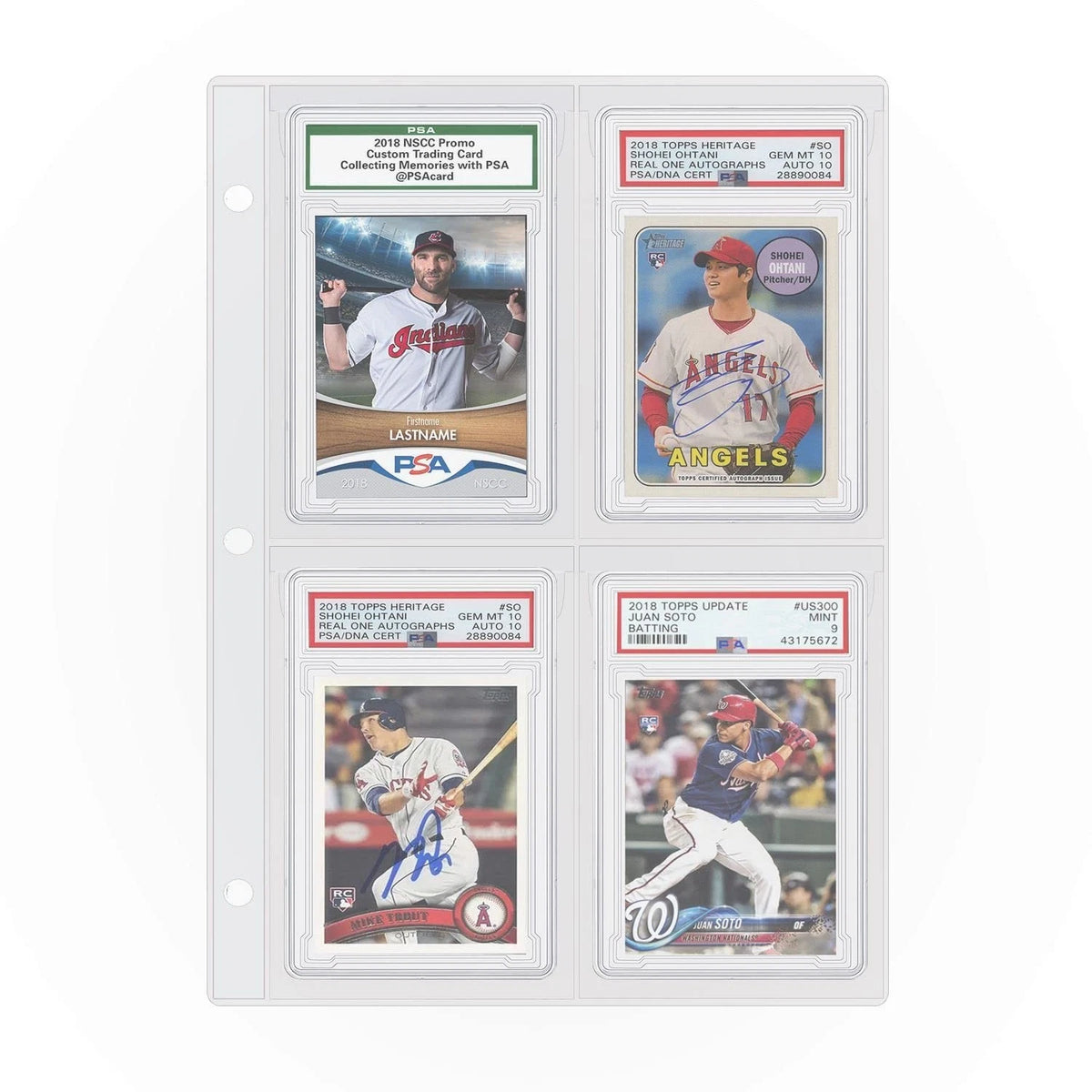 Set of 40 Graded Card Slab Binder Pages for Storage & Display