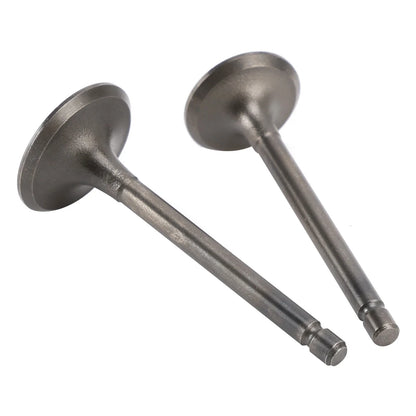 Inlet & Exhaust Valves Kit for Yamaha YFA1 Breeze (2000–2004), YFM125 Grizzly (2004–2013)