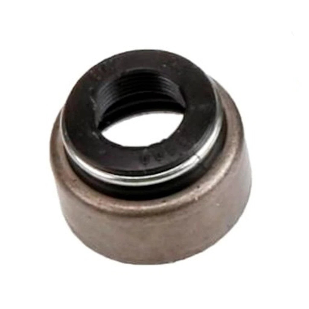 Valve Stem Oil Seal for Chevy Express 1500/2500/3500 (2001–2002) OLX-ACD12555601-CL360A55