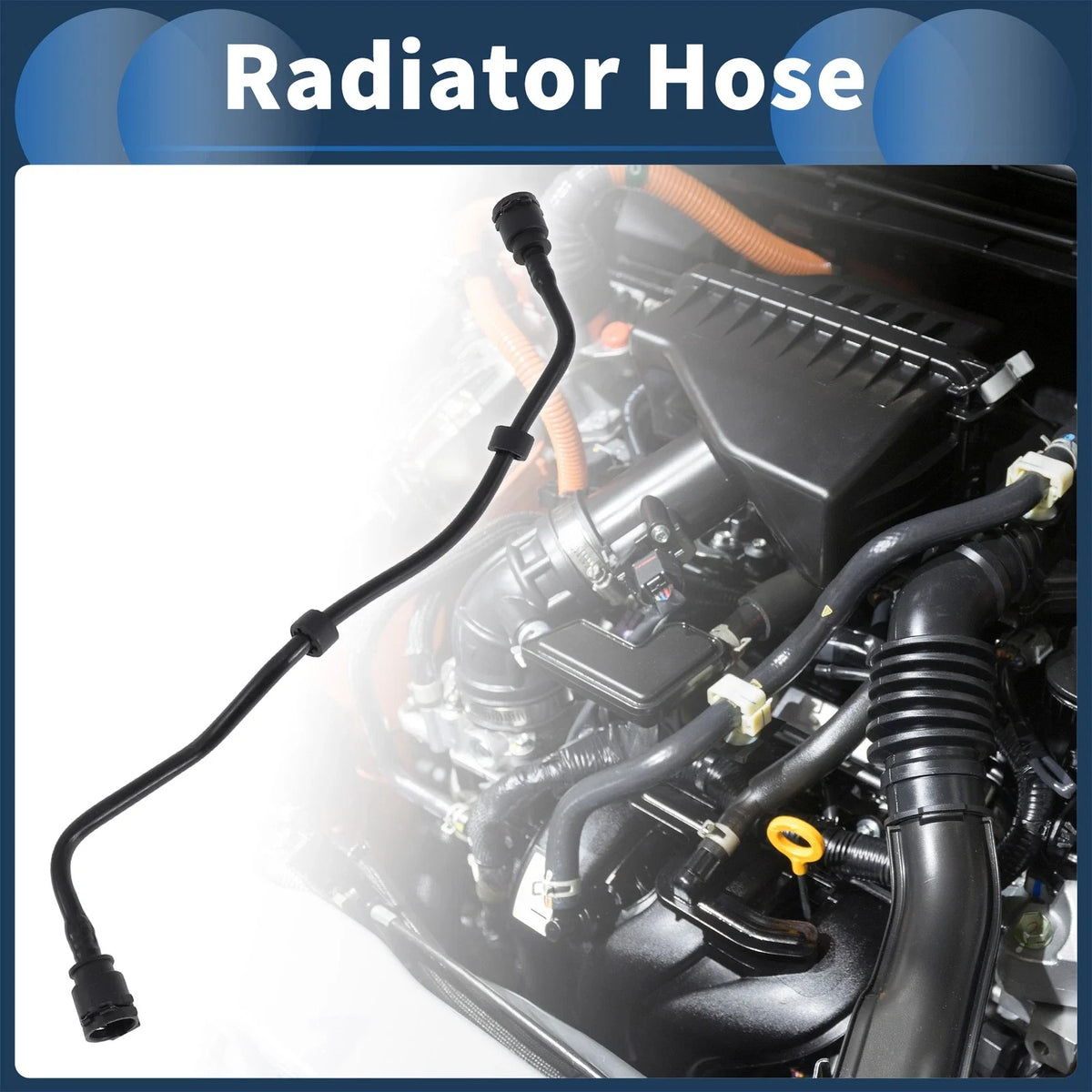 Radiator Hose 4.4L for BMW M550i xDrive (2018-2019)