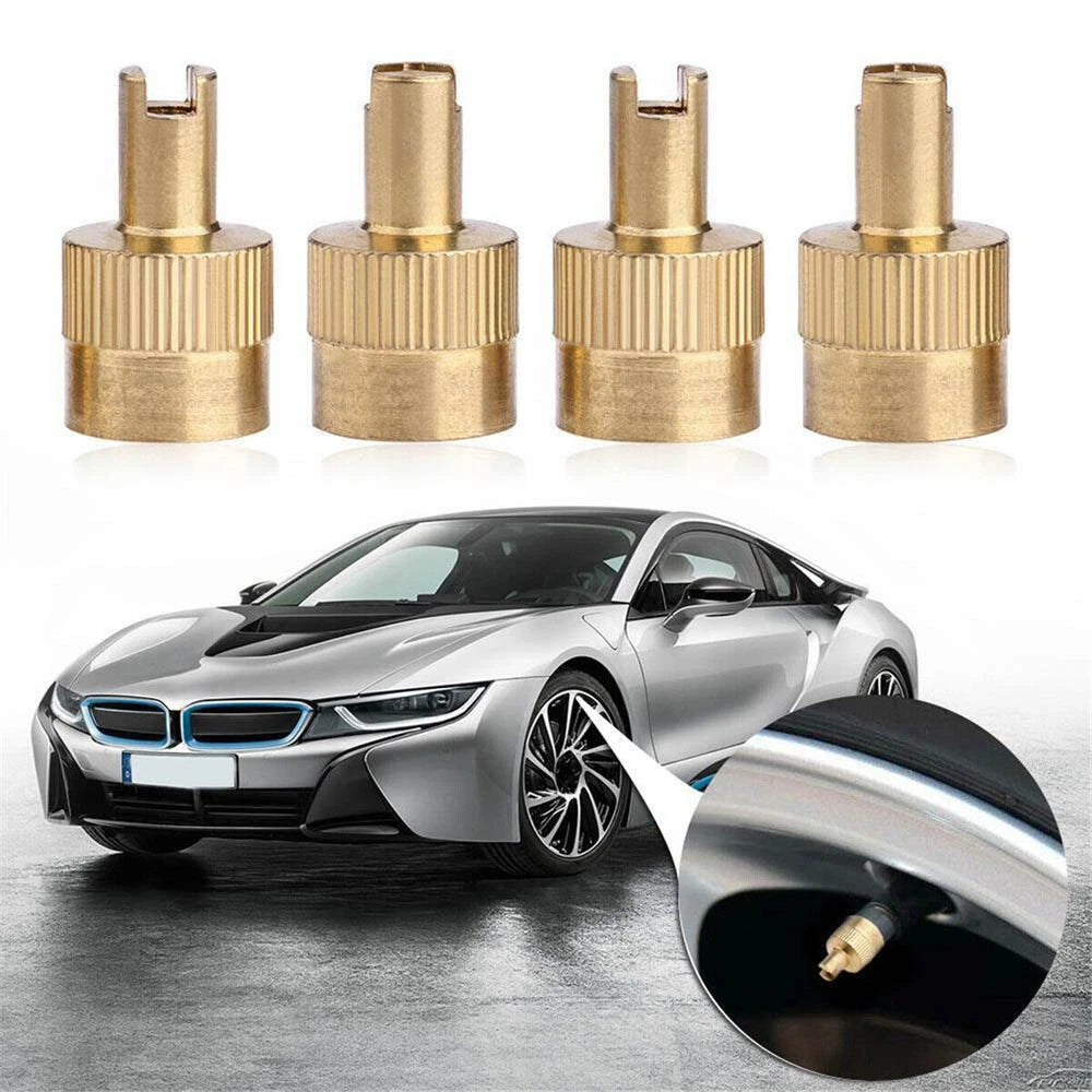 40Pcs Schrader Valve Core Remover Tool Stem Caps with O-Rings for Most Vehicles