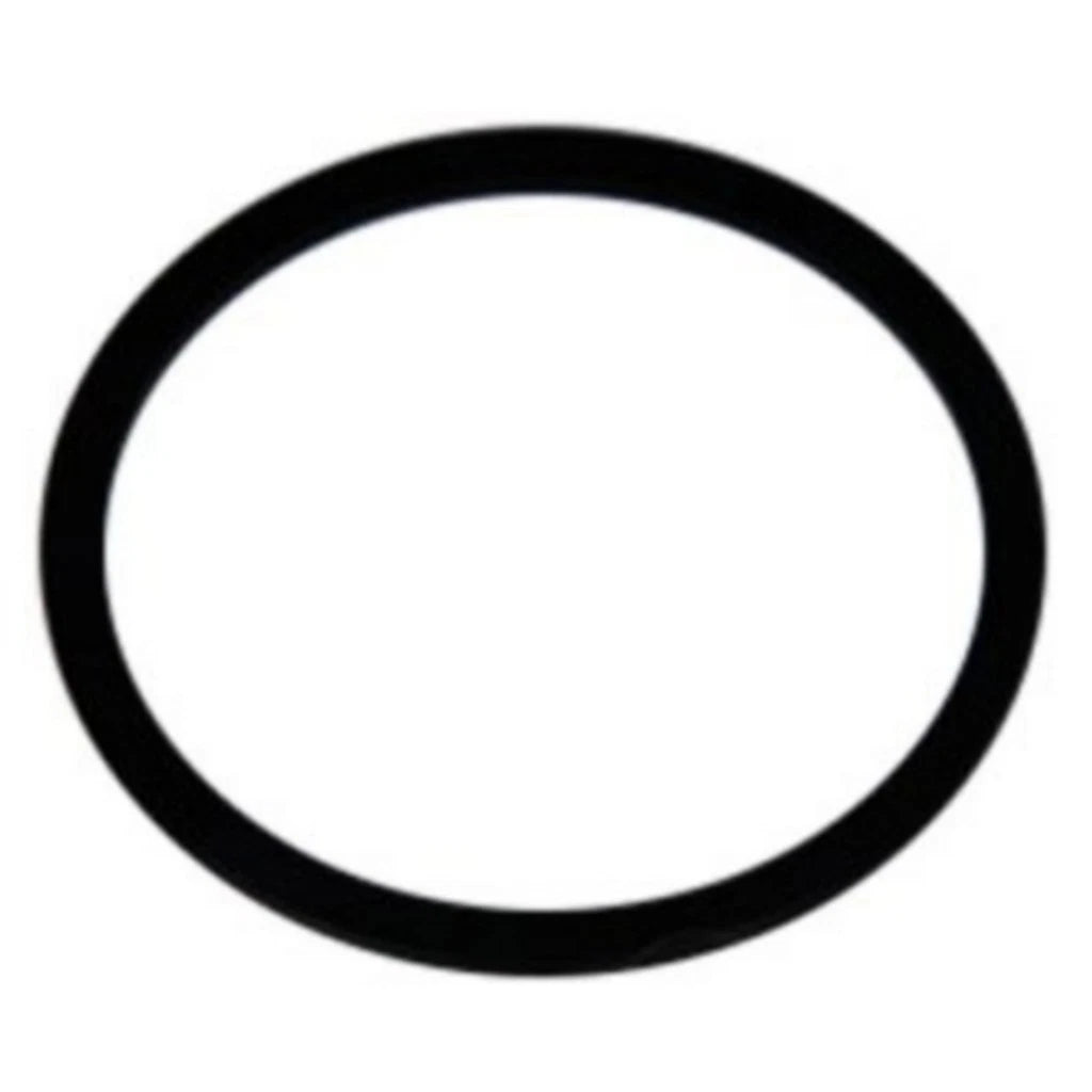 Accumulator Piston Seal for Oldsmobile Aurora (2001–2003) OLX-ACD8679086-CL360A57