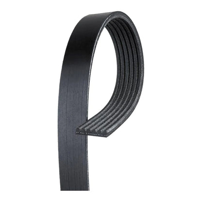 V-Ribbed Serpentine Belt for Peterbilt 389/367 (2008–2015) OLX-ACD6K637-CL360A55