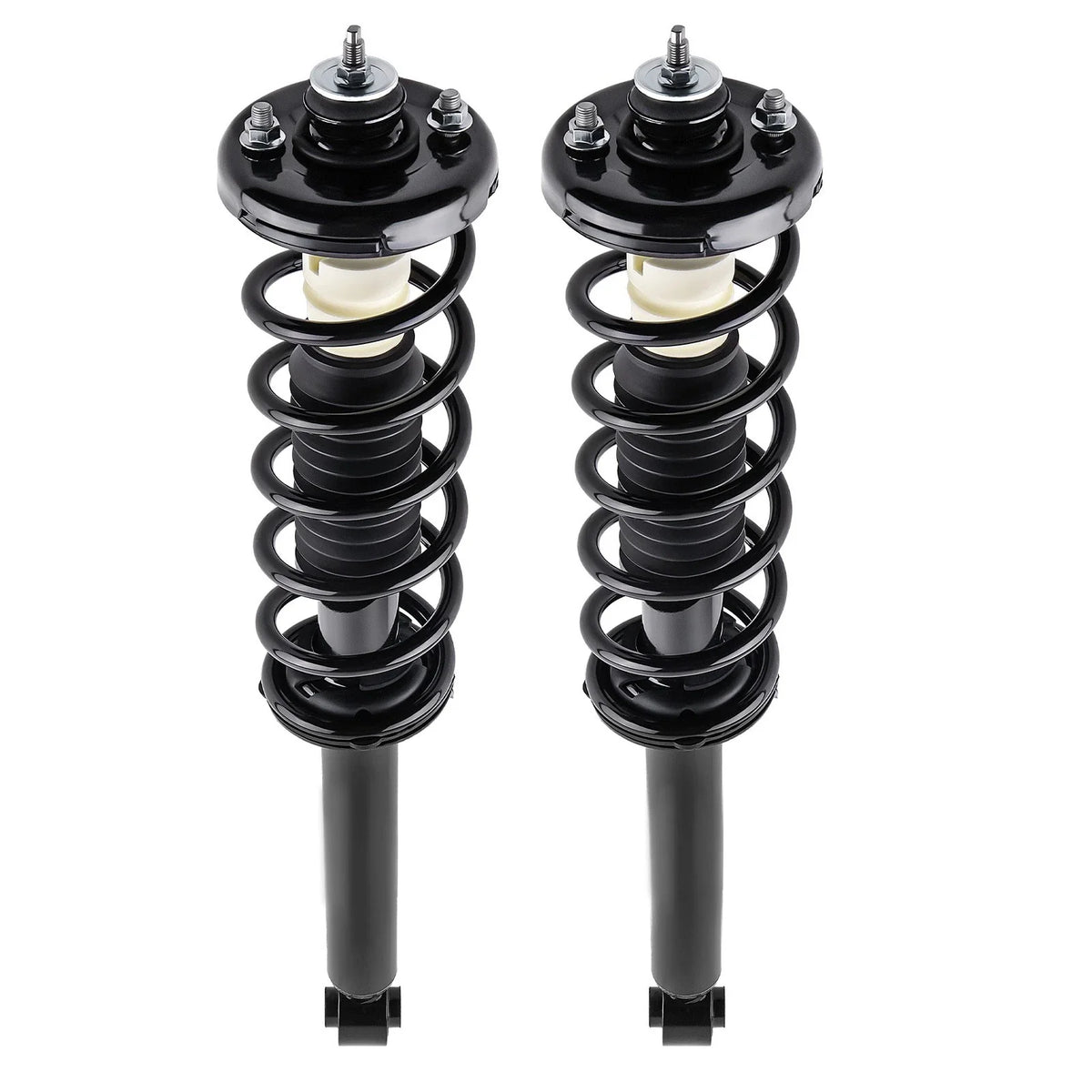 2X Rear Shock Struts Assembly for Acura TSX (2004–2008) 172324 1345794