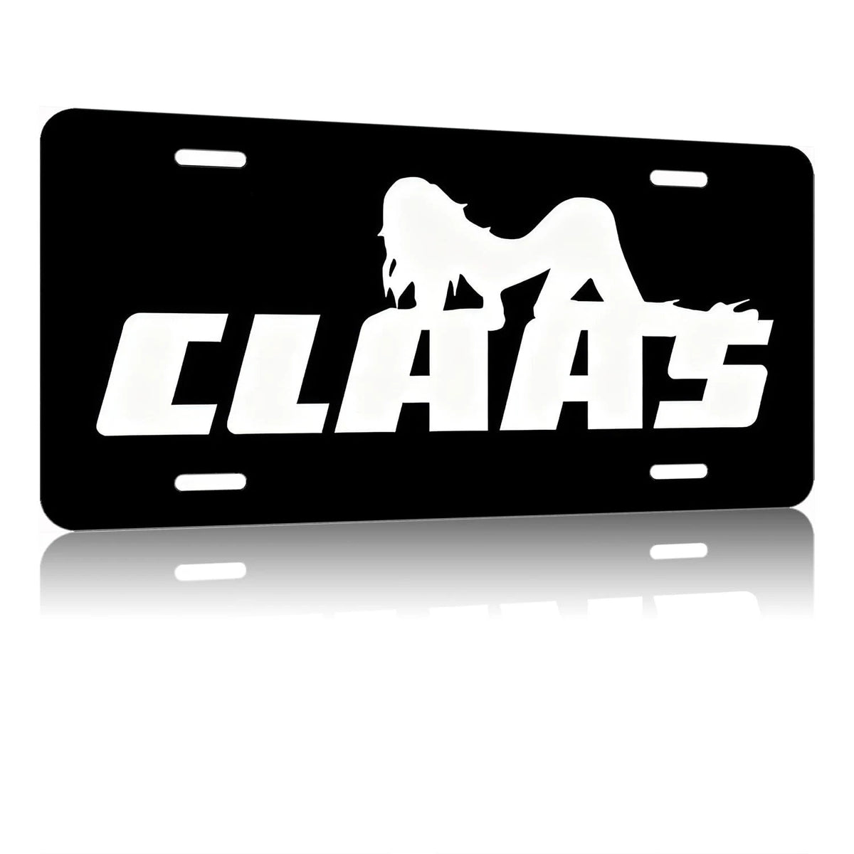 Funny Aluminum Front License Plate for Car (6"x12")
