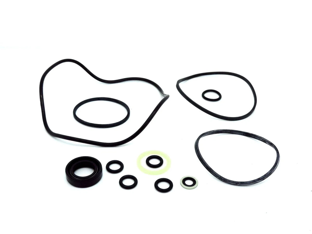 Power Steering Pump Seal Kit for David Brown 1290 1390 1490 1294 1394 1594 1694
