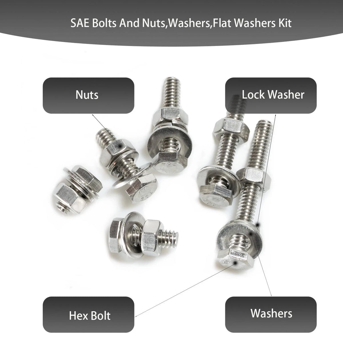 180-Piece SAE Stainless Steel Fasteners Kit with Hex Bolts and Washers