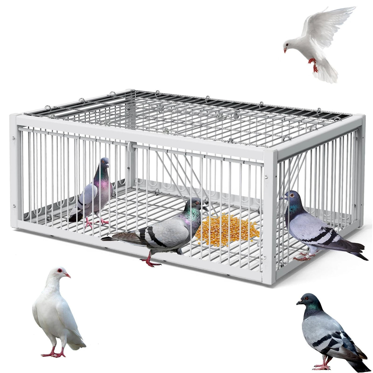 Pigeon Trap Cage for Small Birds - Folding One-Way Silver