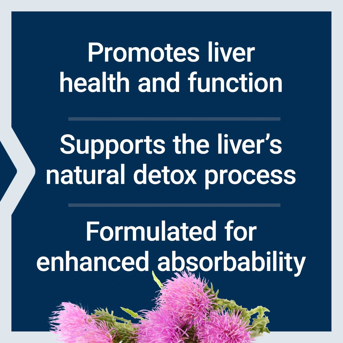 Life Extension Advanced Milk Thistle for Liver Support 120 Count