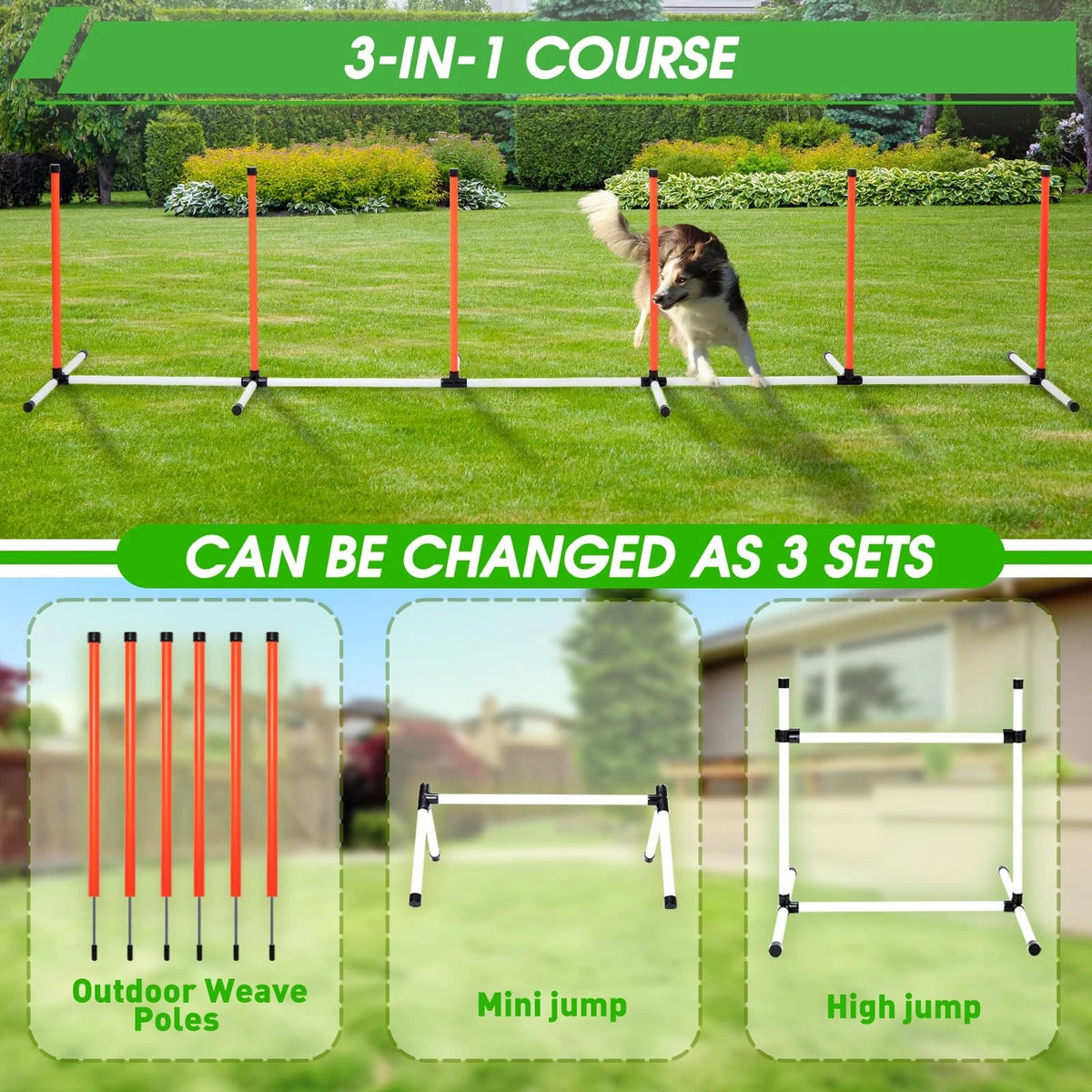 Dog Agility Course Set for Backyard Obstacle Training