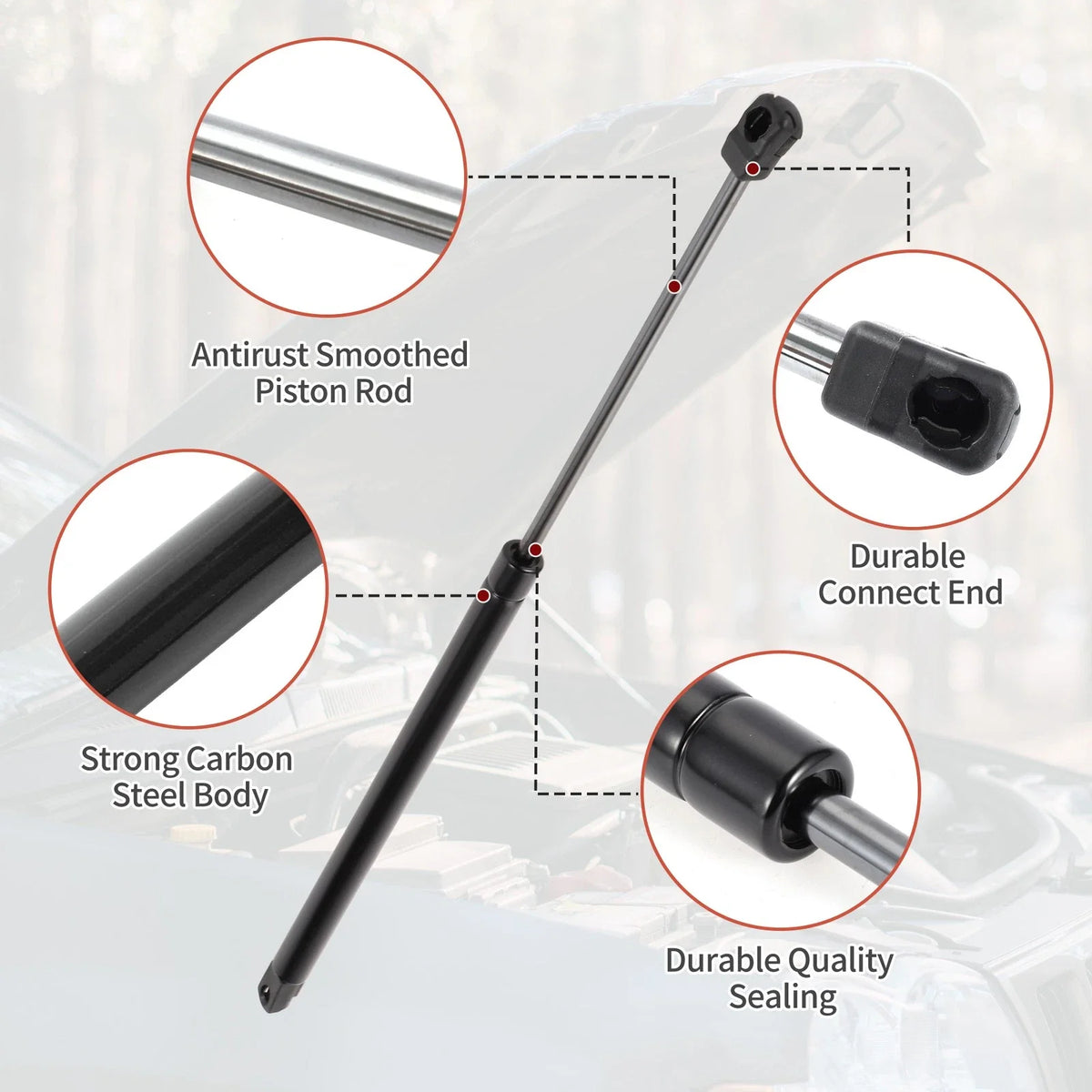 2 Pcs Front Hood Lift Supports Gas Strut for Ford Taurus (2010–2019)
