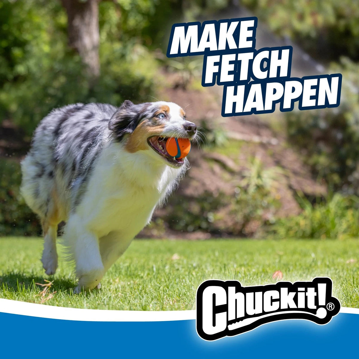 2X Chuckit! Dog Balls for Interactive Play (2.5", Medium) - Orange