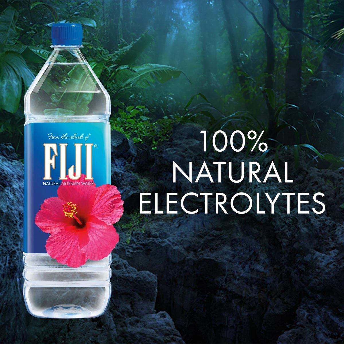 Pack of 12 FIJI Natural Artesian Bottled Water 50.7 Fl Oz Limited Edition