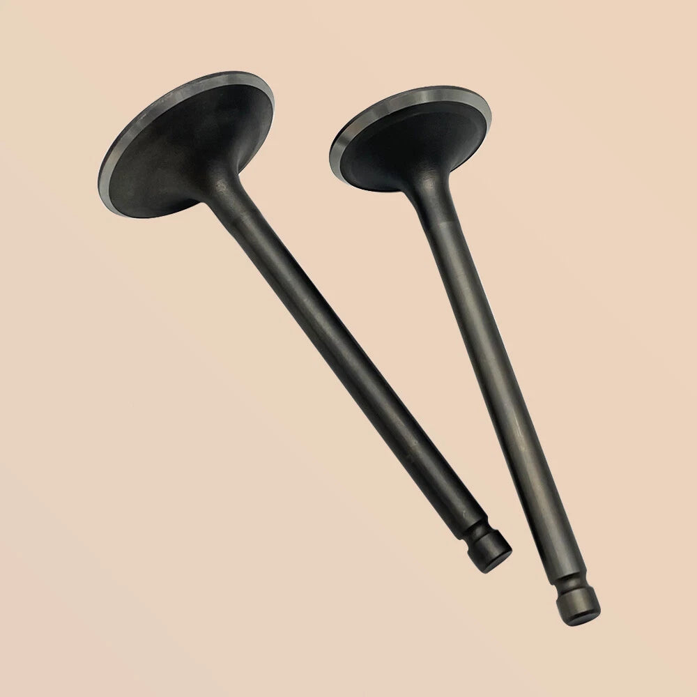 Intake & Exhaust Valve for Yamaha Bruin 350 Raptor 350 (2004–2013) 1UY-12111-01-00, 1UY-12121-01-00
