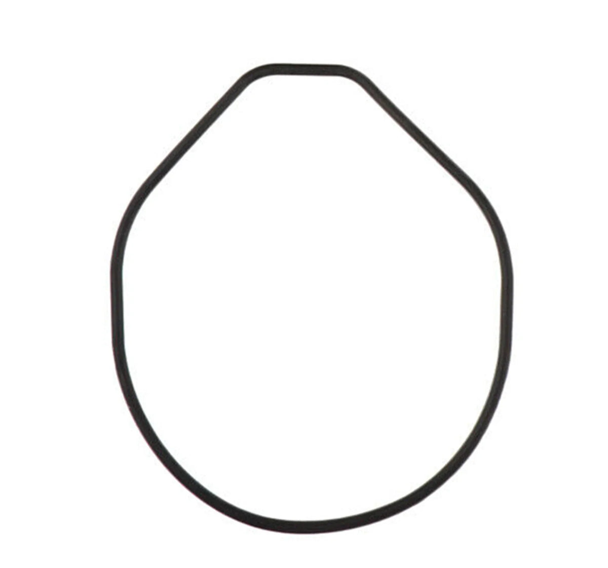 O Ring for Honda Outboard Water Pump (1999–2007) 91356-ZW1-B00