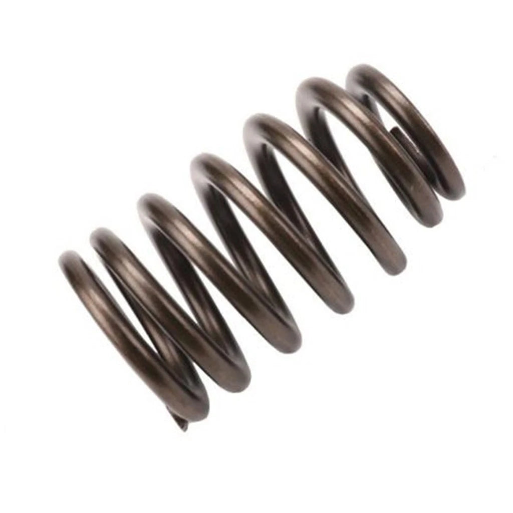 Valve Spring for Buick Rendezvous (2004–2006) OLX-ACD12686721-CL360A57