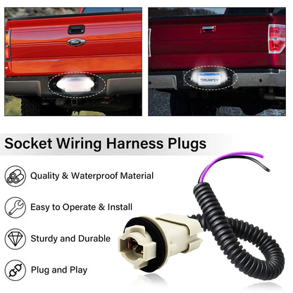 License Plate Light Socket Wiring Harness for