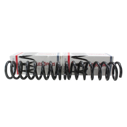 Front Coil Spring 4112155 for Buick Chevrolet GMC Oldsmobile Pontiac