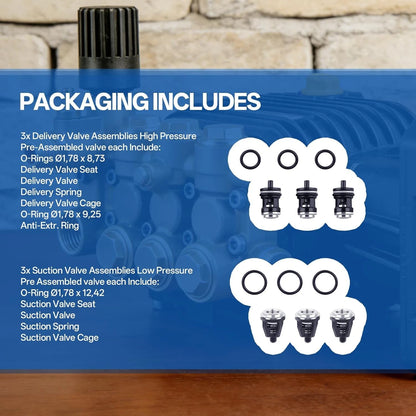 Check Valve Repair Kit for Triplex Plunger Light Pressure Washer Pump