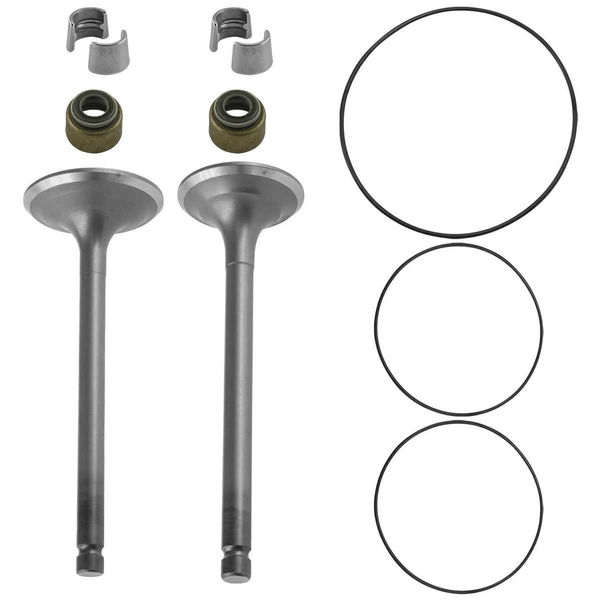 Cylinder Head Intake Exhaust Valve Kit for Yamaha XT250 (1980–1983) CE0289XK204LL