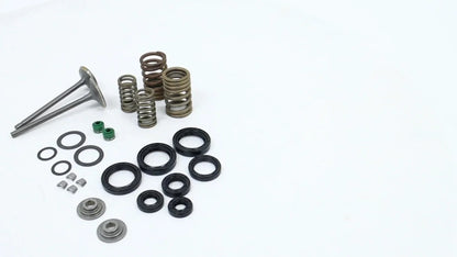 Valve Seals Kit for Honda Recon TRX250 2x4 (2002–2018)