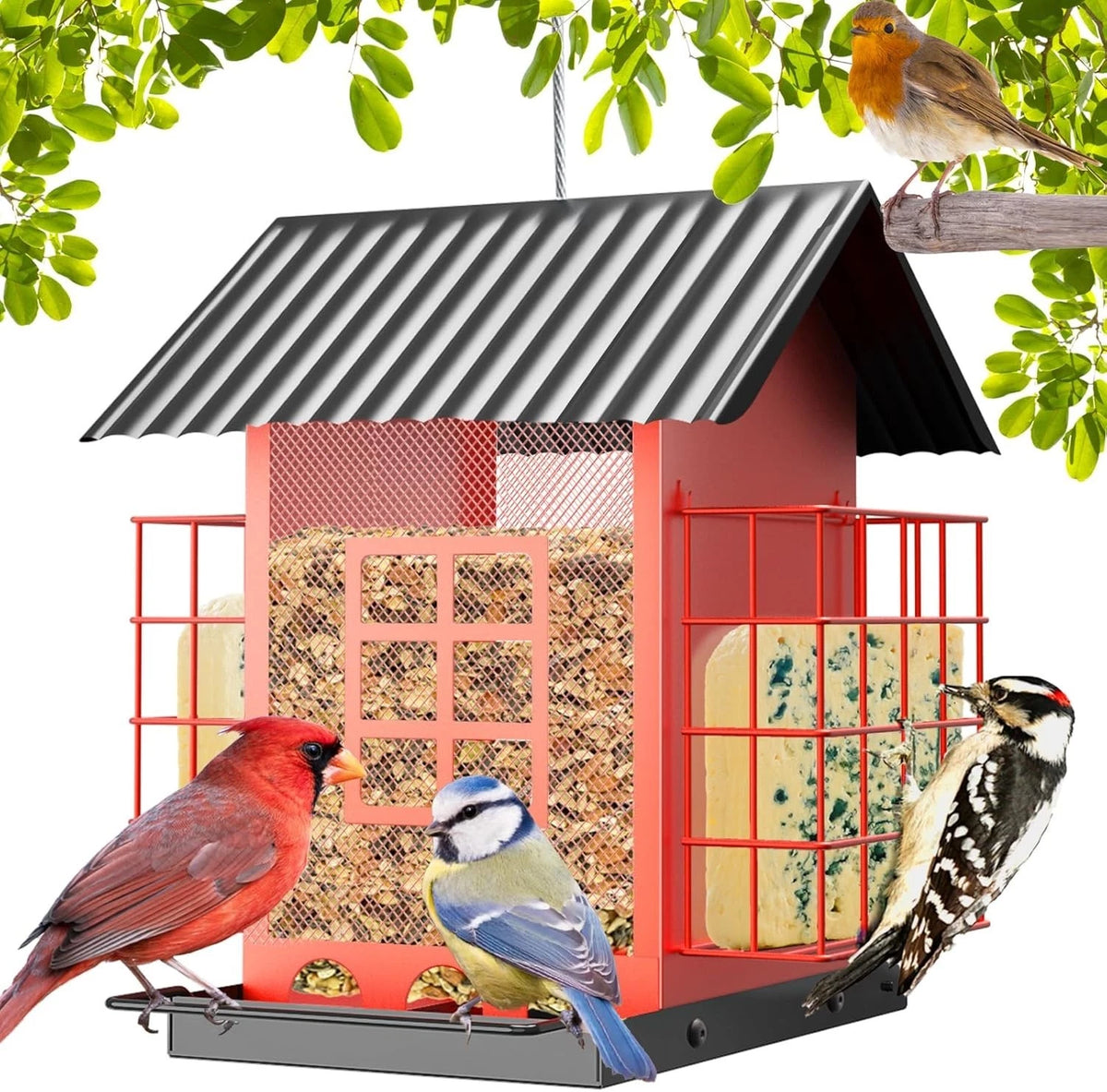 Durable Hanging Bird Feeder for Outdoor Spaces (Weatherproof Metal)
