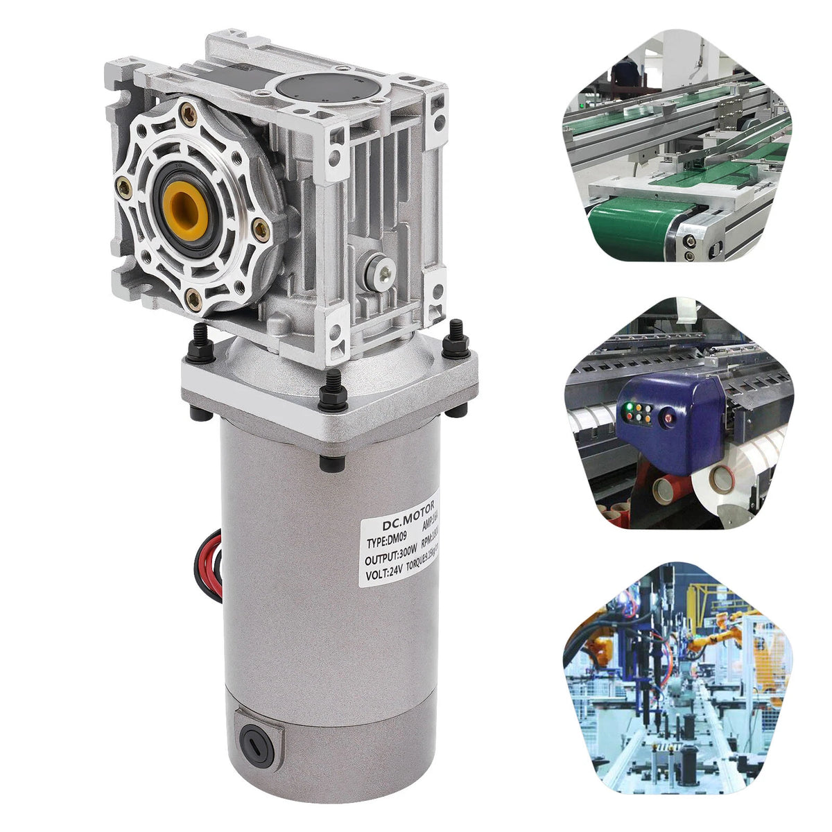 300W 24V DC Worm Gear Motor - Speed Adjustable, Self-Locking