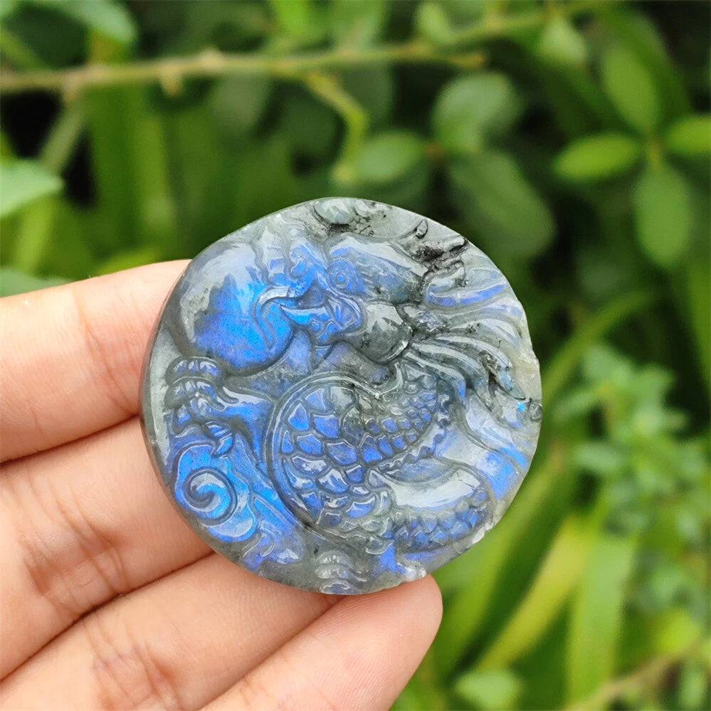 Natural Labradorite Carved Dragon Skull Crystal Reiki Healing for All Models
