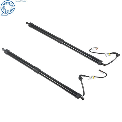 2X Rear Tailgate Lift Support Struts for Toyota Highlander (2014–2019)