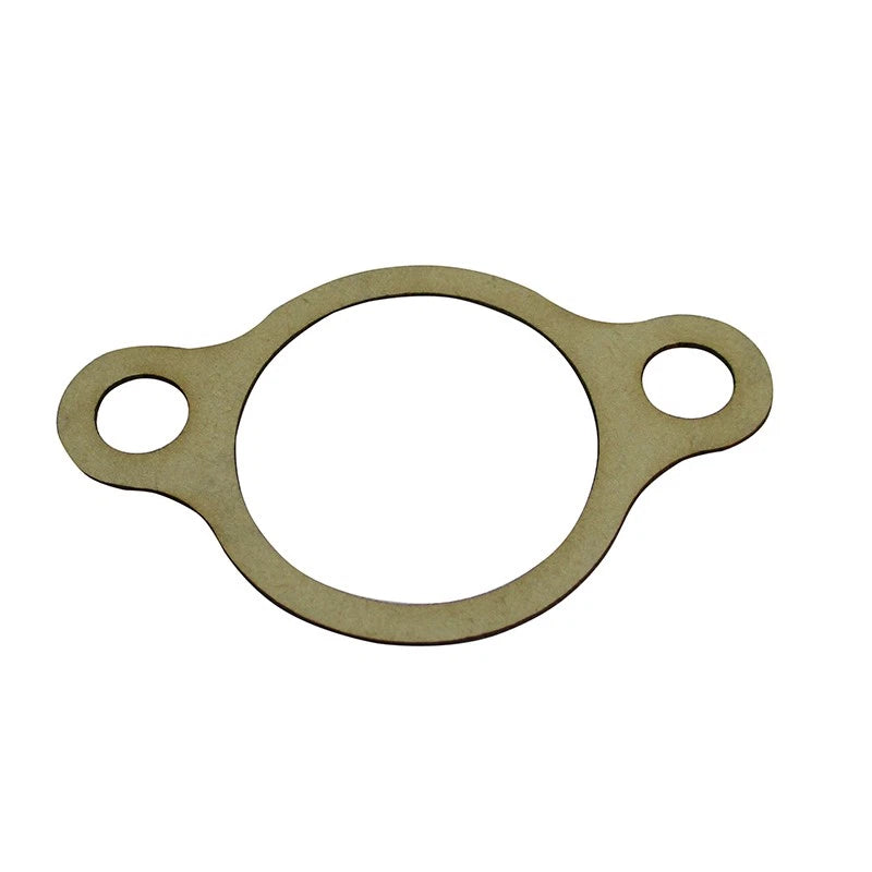 Intake Gasket for Predator (GGGP459IG)