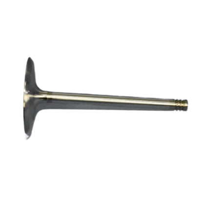 Intake Valve for Dodge Magnum (2006–2008) OLX-MOP5037372AB-CL360A53