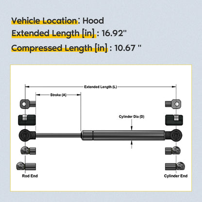 Set of 2 Rear Liftgate Lift Supports for Dodge Durango (1998–2003)