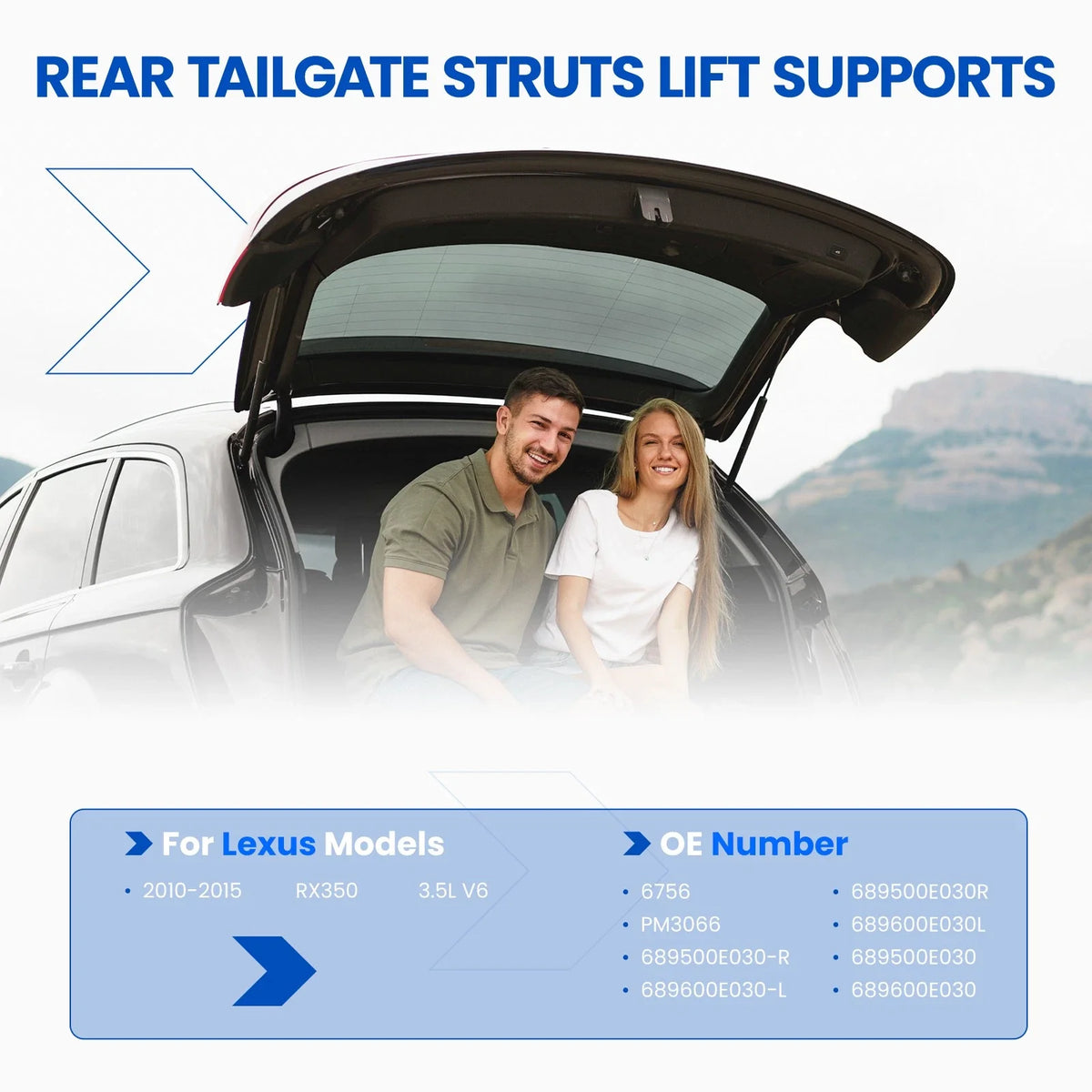 2X Rear Tailgate Lift Support Shock Struts for Lexus RX350 RX450h (2010–2015)