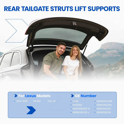 2X Rear Tailgate Lift Support Shock Struts for Lexus RX350 RX450h (2010–2015)