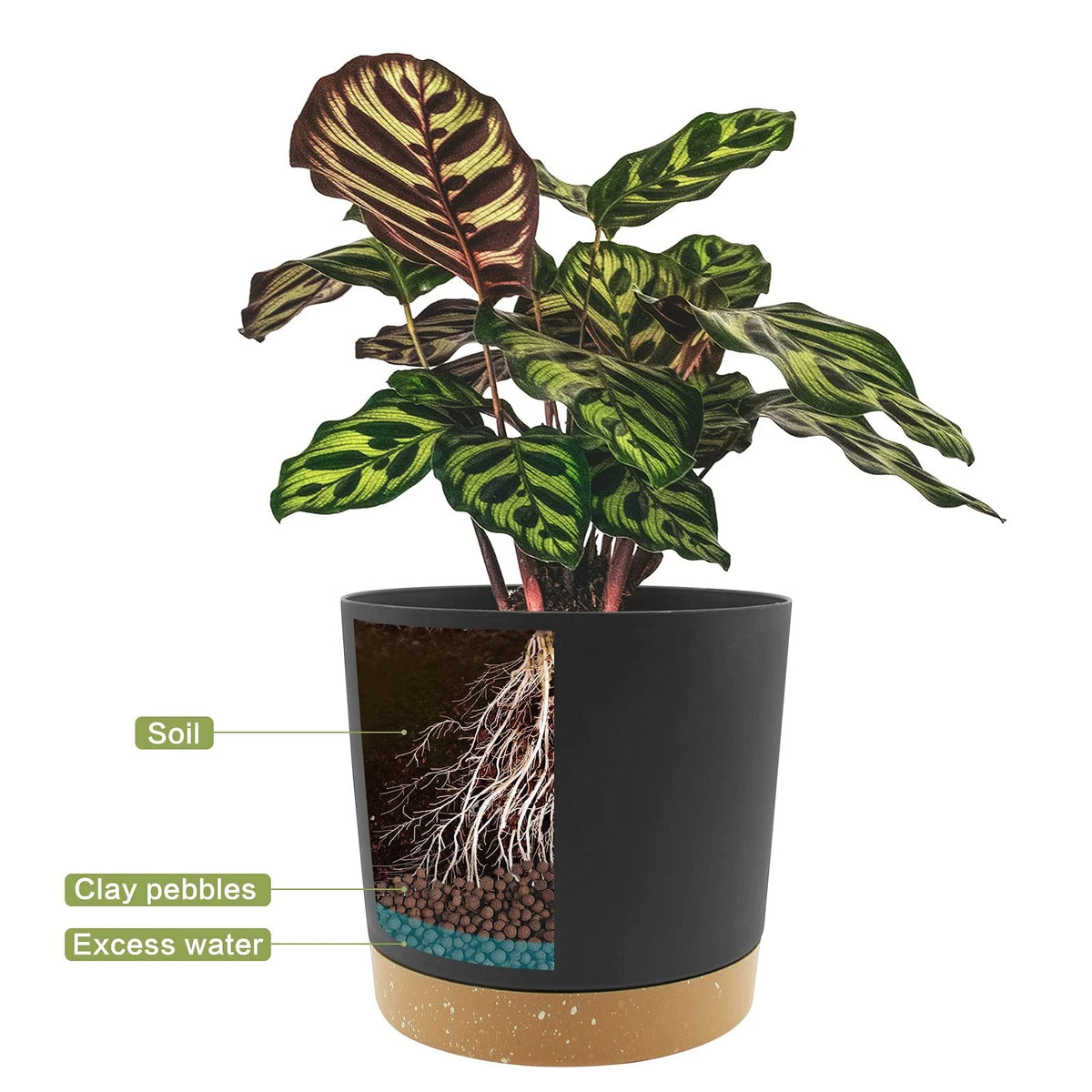 2X 8 Inch Plant Pots for Indoor Plants (Dark Grey)