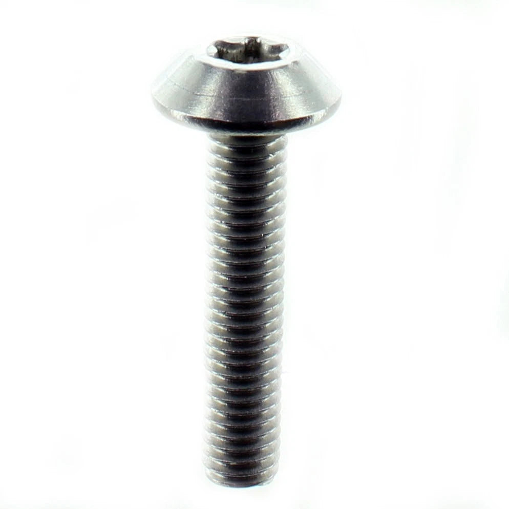 Truss Cone Head Torx Screw for Sea-Doo (250000924)