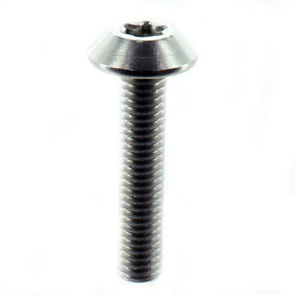 Truss Cone Head Torx Screw for Sea-Doo (250000924)