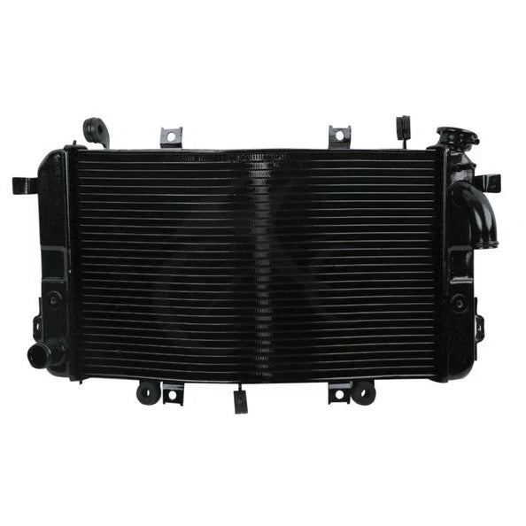 Radiator Cooler for Suzuki B-King GSX1300BK (2008–2013)