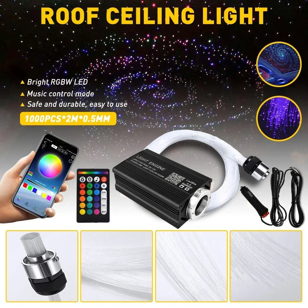 Twinkle Roof Star Ceiling Light Kit for Home Car (1000pcs)